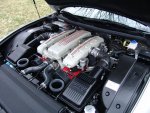 Maranello engine 495.jpg
