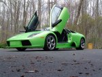 Murcielago-left-side-low-do.jpg