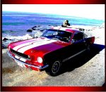 shelby mustang 2.jpg