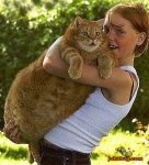Fat Pussy.jpg
