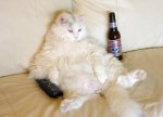 budpussy.jpeg