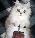 0002dynamitekitty.jpg
