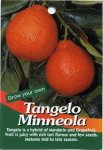Tangelo-Minneola.jpg