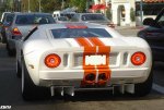 gay GT.jpg