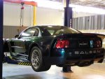saleen.jpg