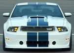 GT350 3.jpg