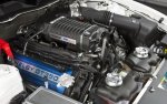 GT350 5.jpg