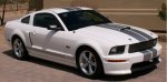 Shelby GT 1.jpg