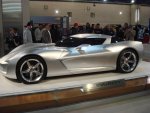 Stingray Side.jpg