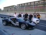 DSC01268.jpg