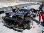DSC01252.jpg