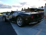 DSC01272.jpg
