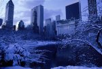 central_park_snow.jpg