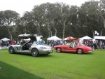 gullwings 1.jpg