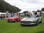 gullwings 3.jpg