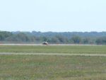 DSCF8768.jpg