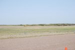 Texas Mile Goliad March 27,2010 027.jpg