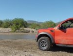 FGT Forum Crop & resize raptor 3.jpg
