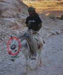 funny-BMW.jpg