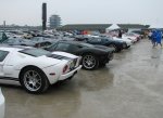 Indy GT's 13.jpg