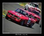 Alfa-train.jpg