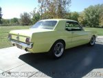 stang2.jpg