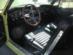 stang1.jpg