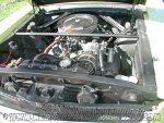 stang5.jpg