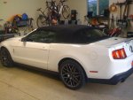 2011 Shelby2.JPG