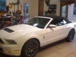 2011 Shelby4.JPG