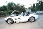 cobra.jpg