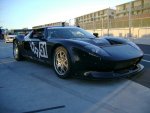 DSC01273.jpg