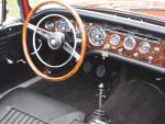 tigerP2190130.jpg
