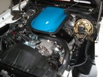 DSC04254.jpg