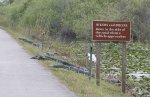 alligators_hikers.jpg