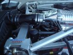 DSC02569.jpg