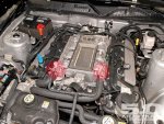 mustangIntake.jpg