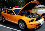 MY SHELBY 07 BCC.jpg