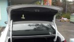 trunk 2.jpg