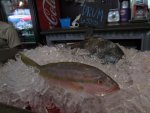 IMG_0436.jpg
