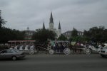 IMG_0432.jpg