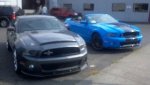 2012-09-28_Shelby.jpg