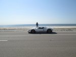 IMG_0486.jpg