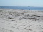 IMG_0488.jpg