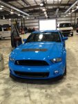 2013 Shelby.jpg