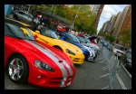 IMG_7555.jpg