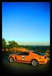IMG_8876sm.jpg