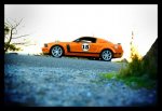 IMG_9002sm.jpg