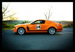 IMG_8967sm.jpg