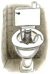 rat1.JPG